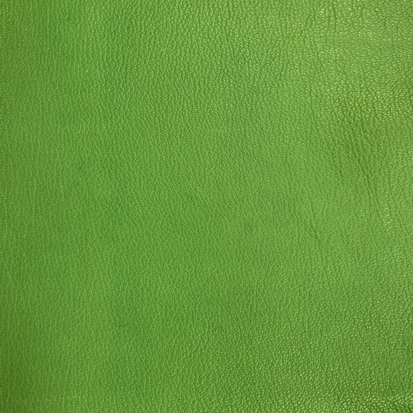 Vegetabilsk Geiteskinn Grønn